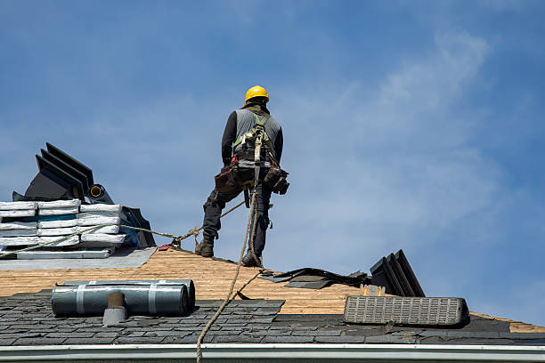 Professional Roofing technician working in Accord, MA